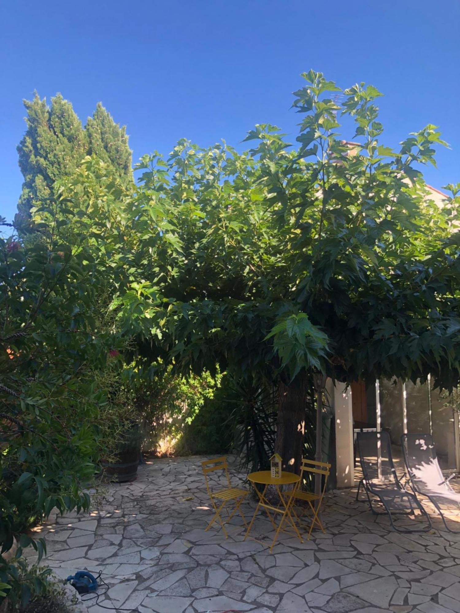 Villa Reine Du Sud Proche Des Grands Buffets Narbonne Buitenkant foto